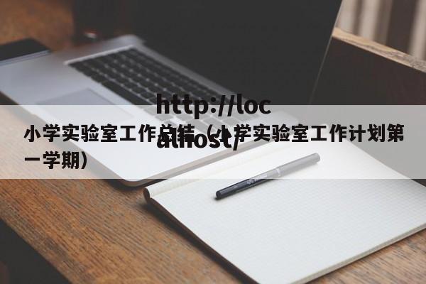 小学实验室工作总结（小学实验室工作计划第一学期）
